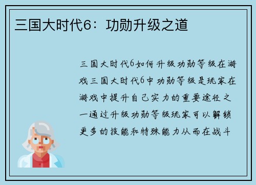 三国大时代6：功勋升级之道